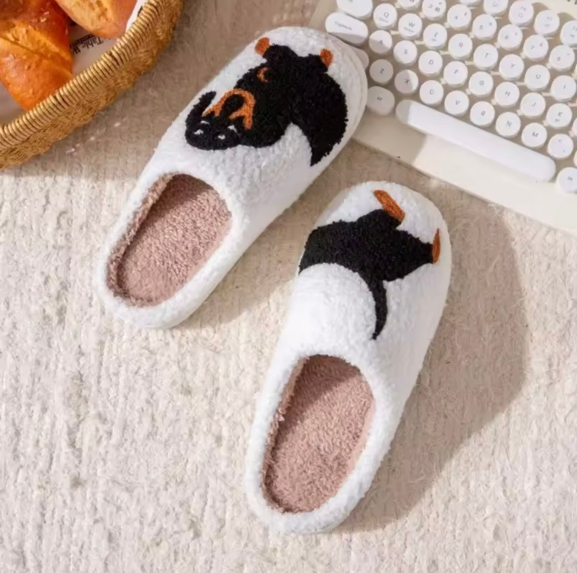 Nos pantoufles chien