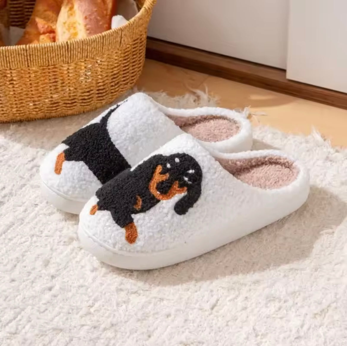 Nos pantoufles chien