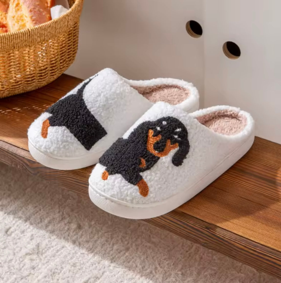 Nos pantoufles chien