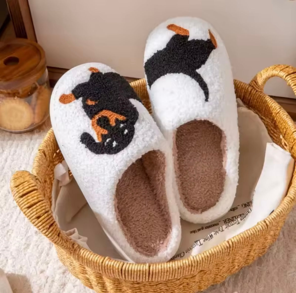 Nos pantoufles chien