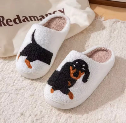Nos pantoufles chien