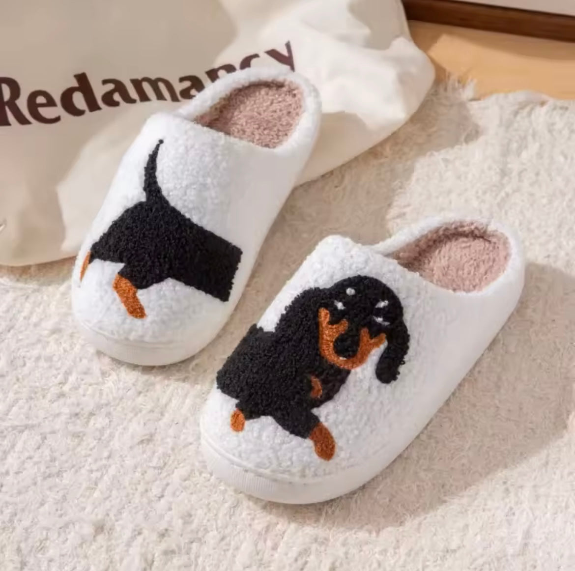 Nos pantoufles chien
