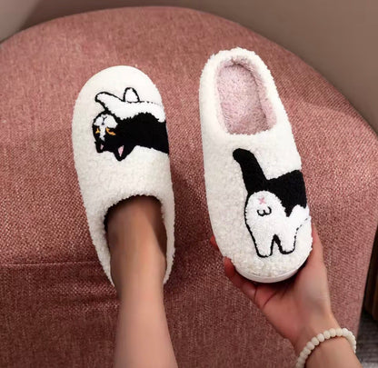 Nos pantoufles chat