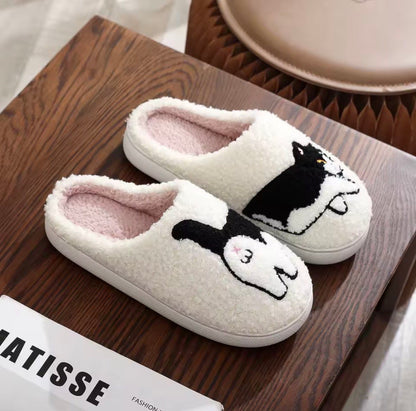 Nos pantoufles chat