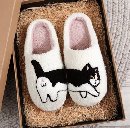Nos pantoufles chat