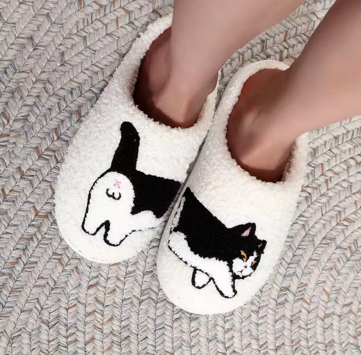 Nos pantoufles chat